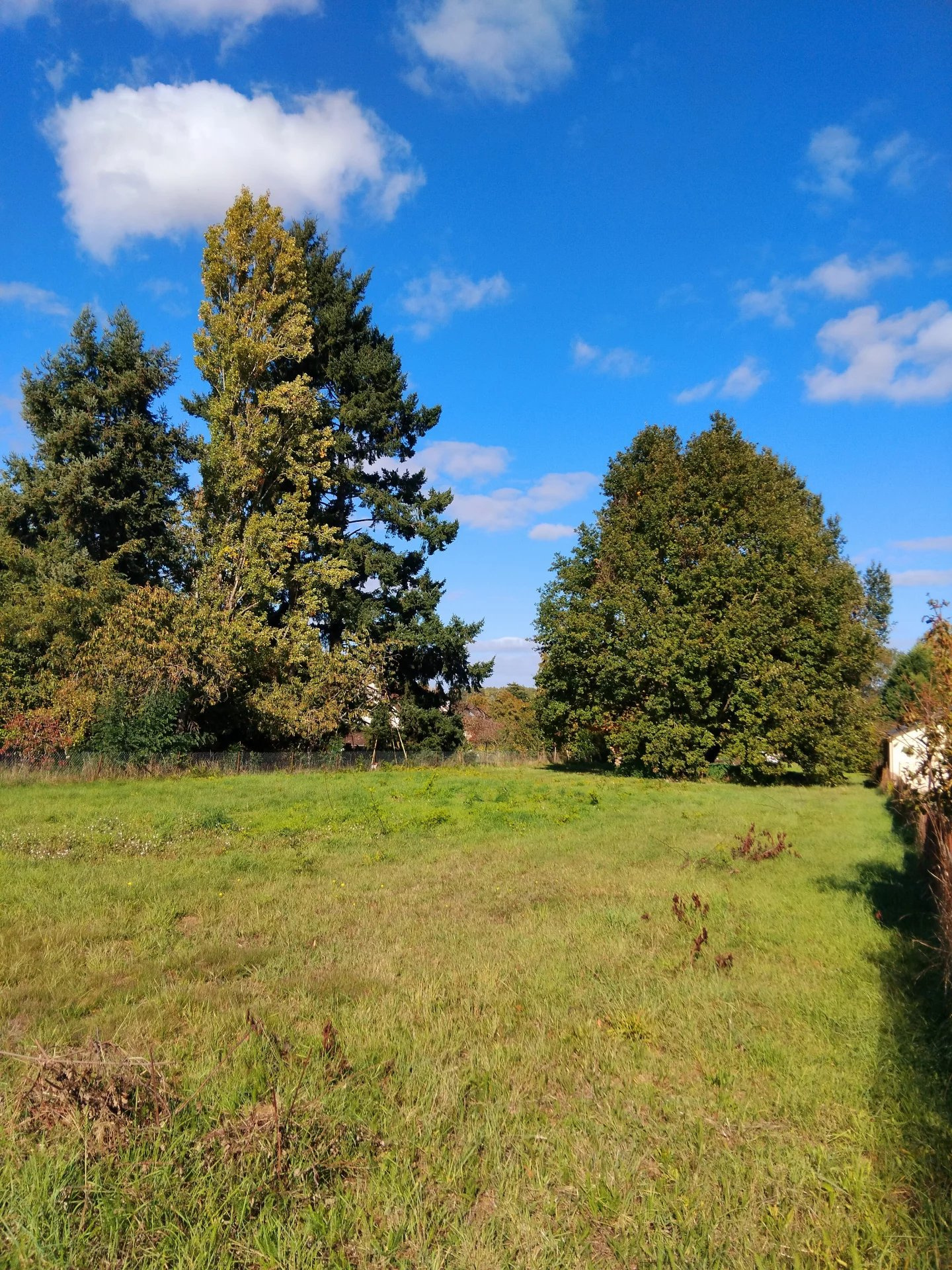Terrain à vendre à St laurent nouan, 1 541 m² – photo 1 sur 1