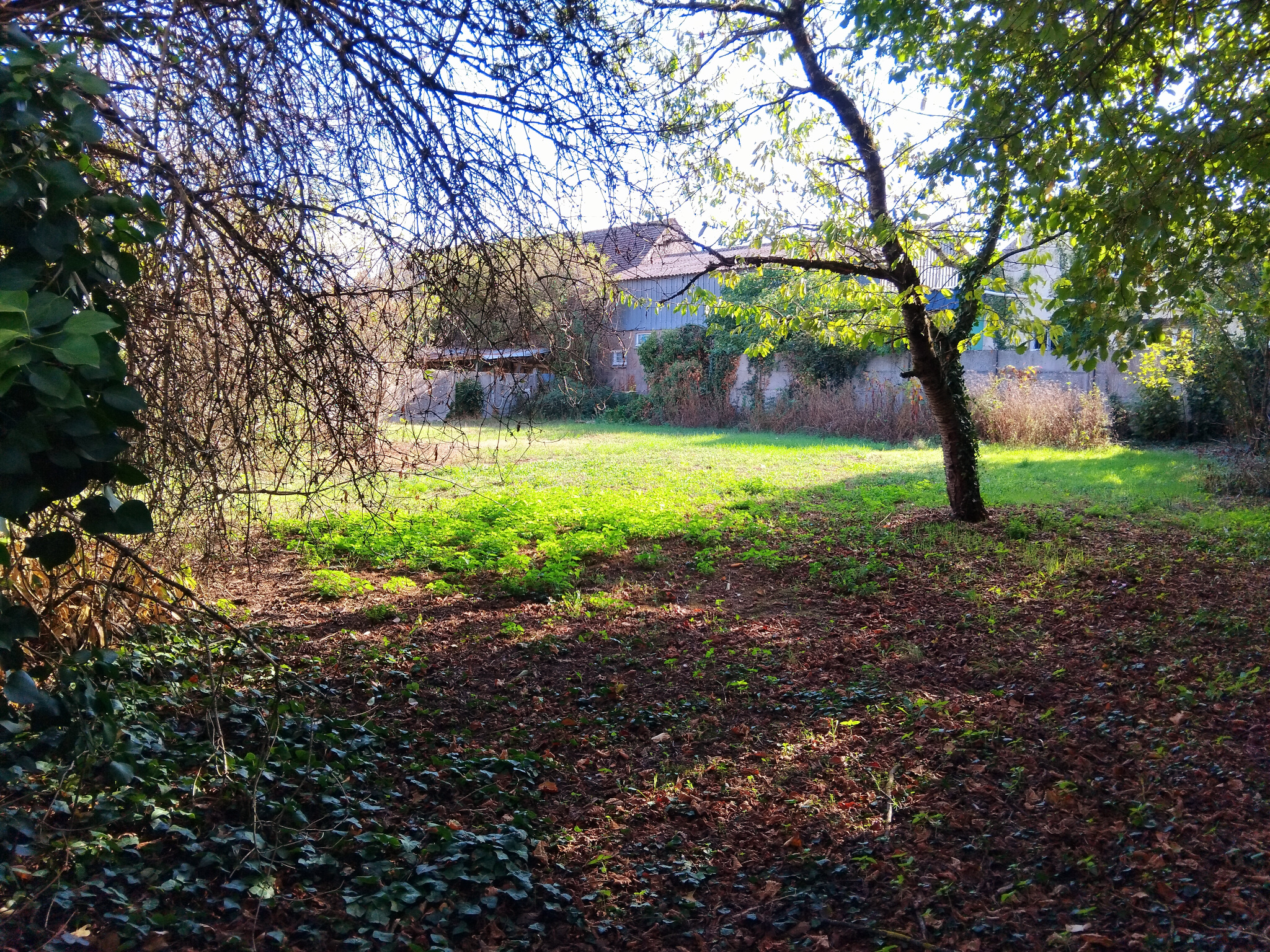 Maison à vendre à Clery st andre, 113 m², 5 pièces – photo 3 sur 12